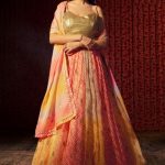 Multi Color Organza Indian Wedding Lehenga Choli
