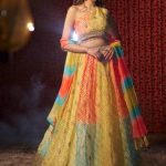 Multi Color Organza Indian Wedding Lehenga Choli