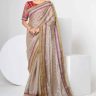 Ayushmati Bhava Border Bride's Designer Saree in Beige