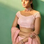 Peach Sequined & Thread Monotone Sequinned Lehenga Choli