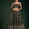 Green Sequin Saree