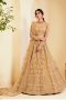 Net Lehenga Choli with Dupatta for Engagement