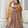 Brown Party Wear Net Lehenga Choli