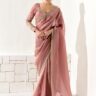Organza Designer Blouse Bollywood Saree